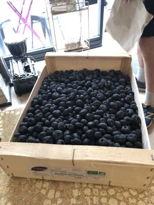 Fresh blueberries!  at World Food Barn in Paris