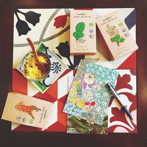 Enjoying vegan mango nice cream while writing post cards! at The Organik Kitchen Saigon in Ho Chi Minh City