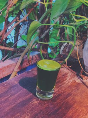 Wheatgrass shot at Khun Kae's Juice Bar in Chiang Mai