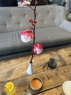   at VeVe in Copenhagen