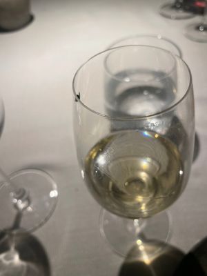 The company. at VeVe in Copenhagen