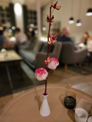 #Veganuary at VeVe in Copenhagen