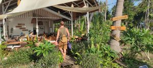 Entry walkway at Pure Vegan Heaven in Koh Phangan