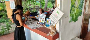 Counter at Pure Vegan Heaven in Koh Phangan