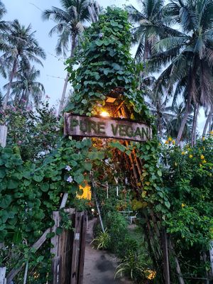 Pure Vegan Entrance at Pure Vegan Heaven in Koh Phangan