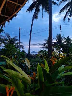 View from my table at Pure Vegan Heaven in Koh Phangan