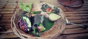  at Pure Vegan Heaven in Koh Phangan