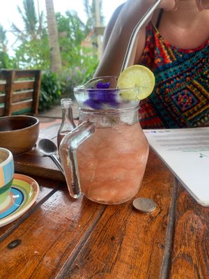   at Pure Vegan Heaven in Koh Phangan