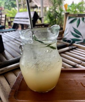 Refreshing Ginger and Lime Soda  at Pure Vegan Heaven in Koh Phangan