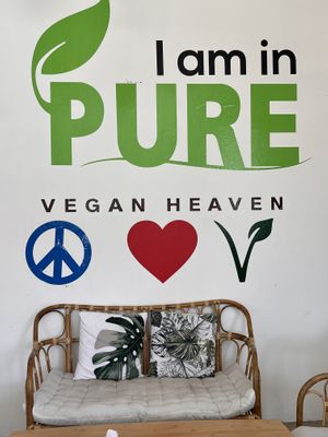   at Pure Vegan Heaven in Koh Phangan