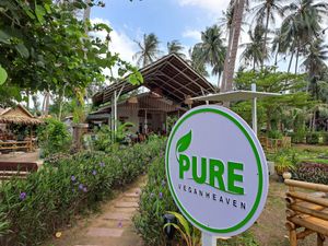  at Pure Vegan Heaven in Koh Phangan