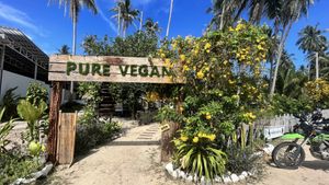   at Pure Vegan Heaven in Koh Phangan