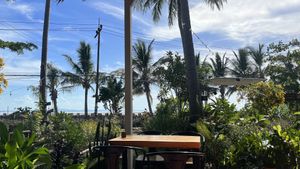   at Pure Vegan Heaven in Koh Phangan