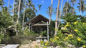   at Pure Vegan Heaven in Koh Phangan