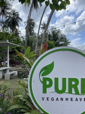   at Pure Vegan Heaven in Koh Phangan