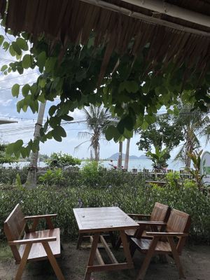   at Pure Vegan Heaven in Koh Phangan