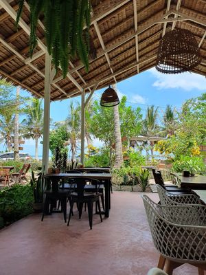  at Pure Vegan Heaven in Koh Phangan