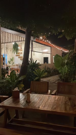   at Pure Vegan Heaven in Koh Phangan
