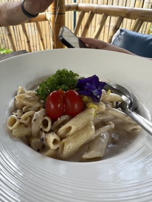   at Pure Vegan Heaven in Koh Phangan