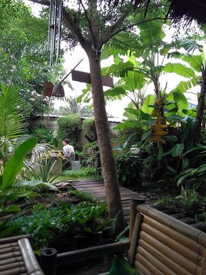 Lovely garden setting. at Pure Vegan Heaven in Koh Phangan
