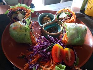 Fresh Spring Rolls at Pure Vegan Heaven in Koh Phangan