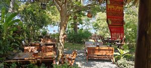  at Pure Vegan Heaven in Koh Phangan