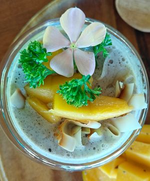  at Pure Vegan Heaven in Koh Phangan