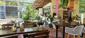  at Pure Vegan Heaven in Koh Phangan