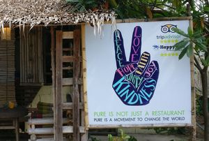 Pure Vegan Heaven at Pure Vegan Heaven in Koh Phangan