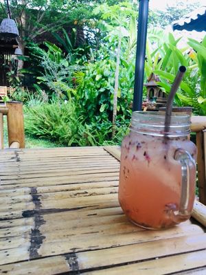 Lavender Yuzu Tea at Pure Vegan Heaven in Koh Phangan