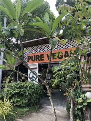 Cafe at Pure Vegan Heaven in Koh Phangan