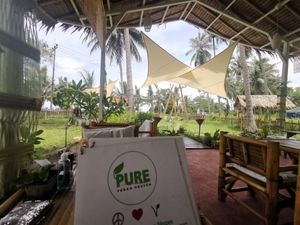 😍 at Pure Vegan Heaven in Koh Phangan