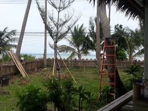 View out to the sea at Pure Vegan Heaven in Koh Phangan