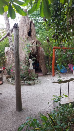 One Part of the garden at El Manatí in Bacalar