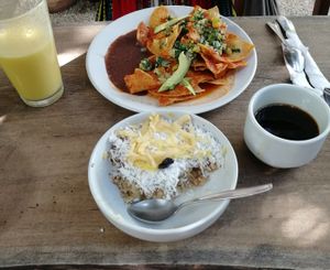 Paradise oatmeal, smoothie, and coffee (sadly can't remember what the thing in the back was called)
All vegan breakfast!!!  at El Manatí in Bacalar