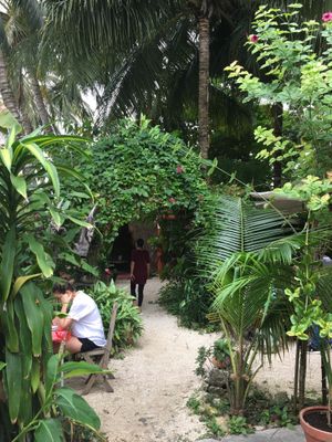 Recommend:) at El Manatí in Bacalar