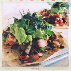 Spicy carnitas tacos! So good!  at Vibe Organic Kitchen & Juice in Newport Beach