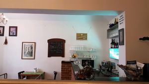 the bar  at U Zelenina in Prague