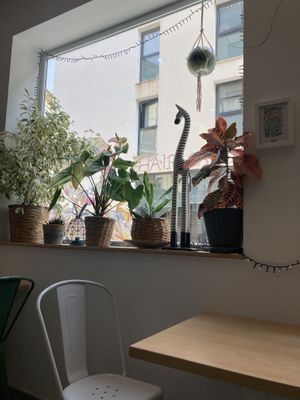   at Khambú Quart in Valencia