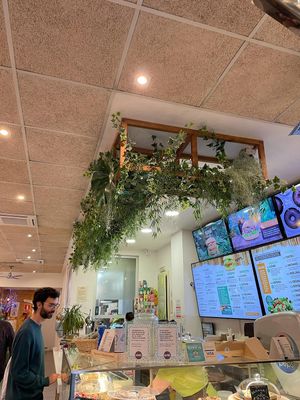   at Khambú Quart in Valencia