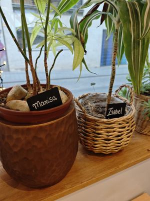  at Khambú Quart in Valencia