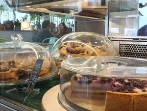  at Khambú Quart in Valencia