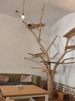  at Pelíšek in Brno