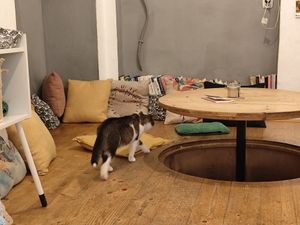  at Pelíšek in Brno