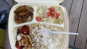 Sareni tanjur seitan at Mini Mini Street Food in Pula