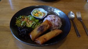 Vegan spring rolls - July 2020 at Hakko in Hirao