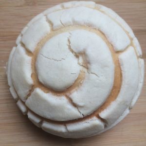 Vanilla Vegan Concha at Sane Treats in El Paso