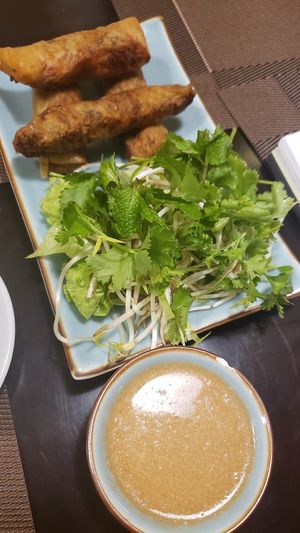 Fried Hanoi Spring Roll at The Veg - Organic Vego and Tea in Hanoi