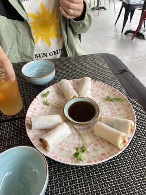Fresh spring rolls  at The Veg - Organic Vego and Tea in Hanoi
