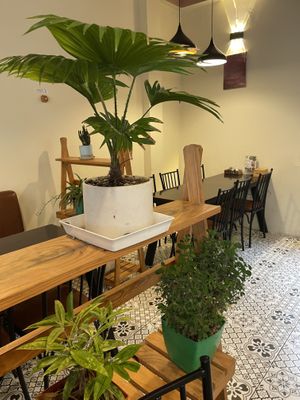   at The Veg - Organic Vego and Tea in Hanoi